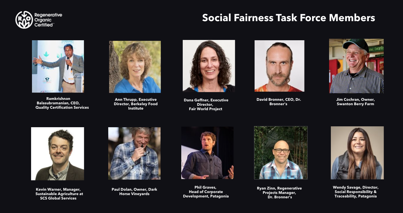 Social Fairness Task Force Members